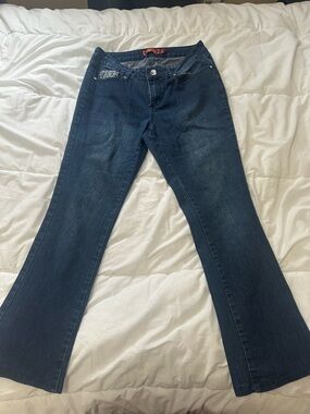 Ed Hardy Dark Blue Flare Jeans